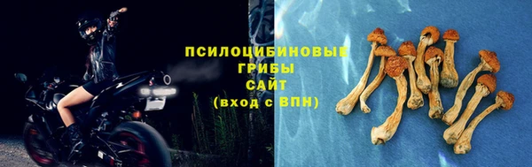 дмт Аркадак