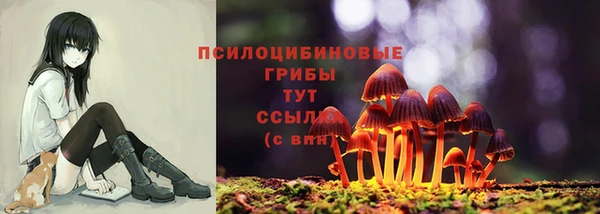 а пвп мука Арсеньев
