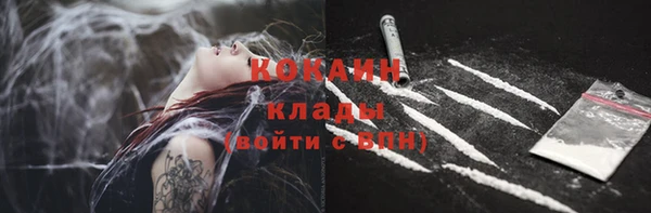 дмт Аркадак